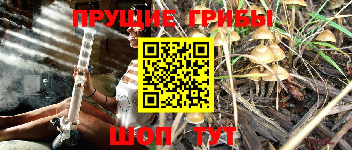 Псилоцибиновые грибы MAGIC MUSHROOMS Арсеньев